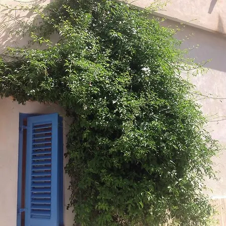 B&B Marettimo